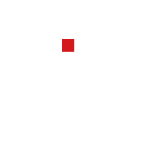 Group MID Argentina